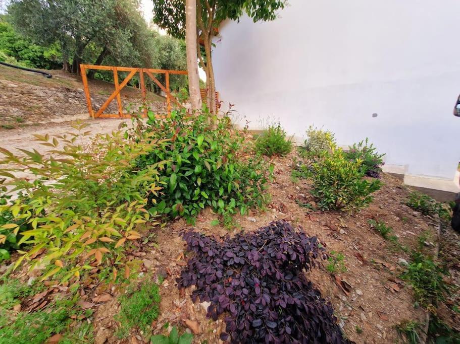 Appartamento Ombra Pontassieve Exterior photo